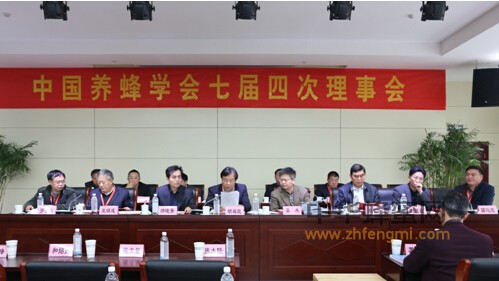 蜂療培訓 中國養蜂學會 理事會 濟寧 中國蜜蜂日 蜂療培訓 蜂箱