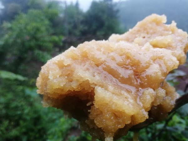 蜜蜂什么時(shí)候取蜜最好？取蜜的3種常用方法，每種方法的利與弊