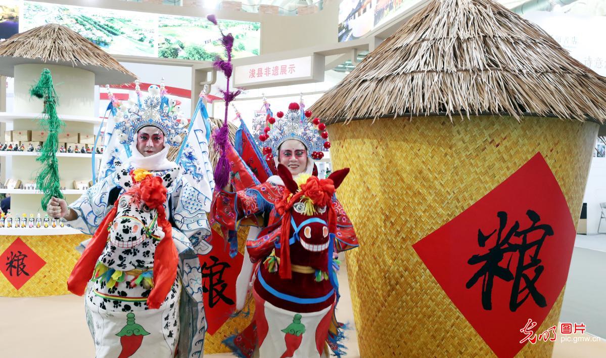 第三屆大運(yùn)河文化旅游博覽會在蘇州開幕