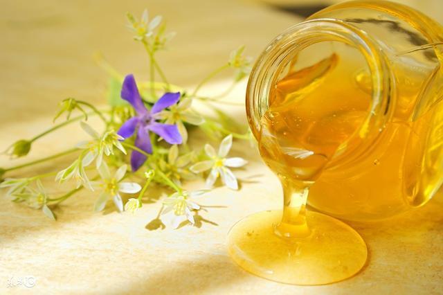 常見(jiàn)的蜂蜜有哪幾種？(各種蜂蜜的區(qū)別)