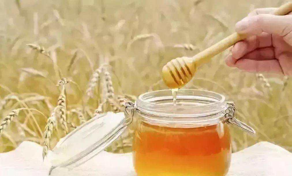 東北黑蜂椴樹雪蜜怎么做面膜（蜂蜜蛋黃面膜的做法和作用）